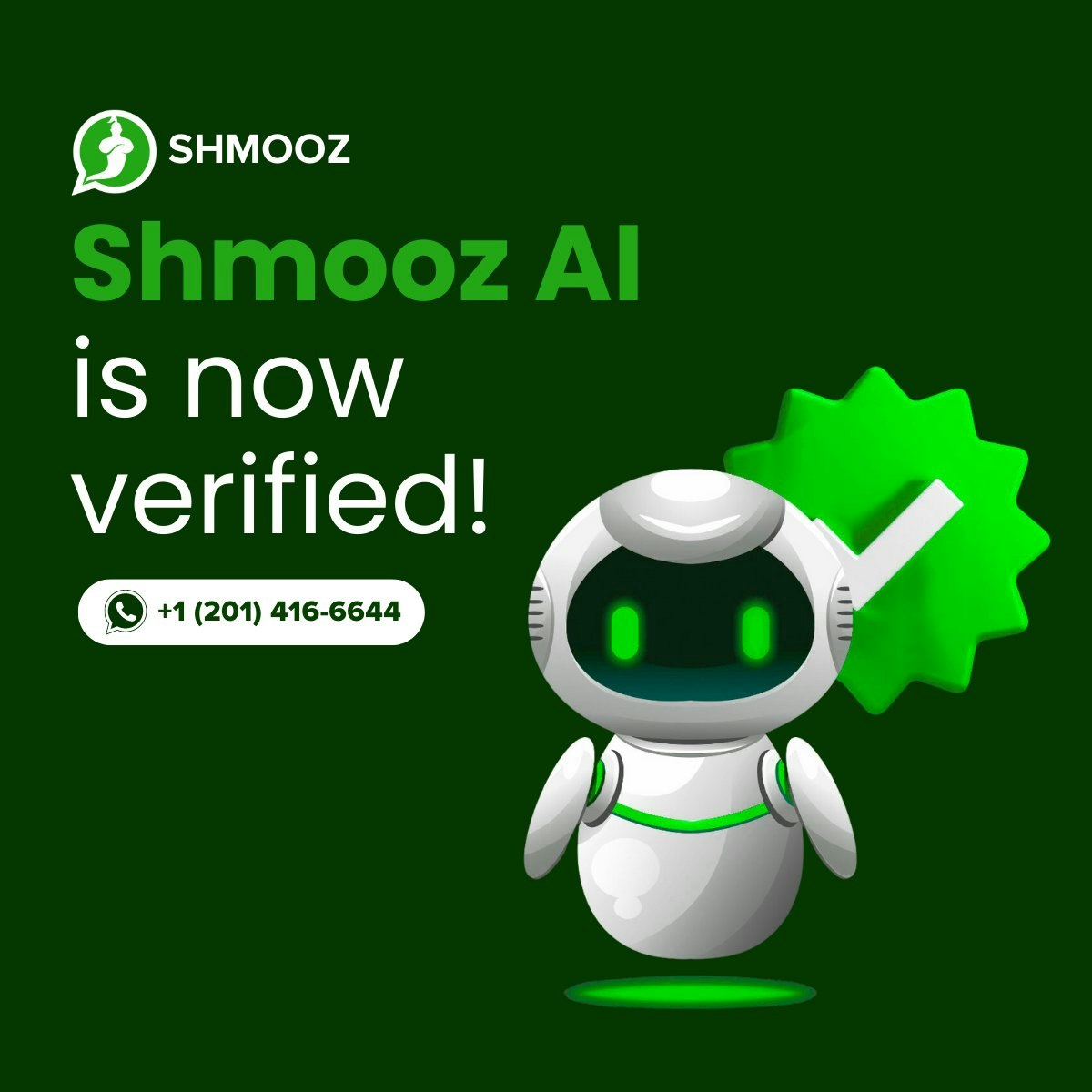 Shmooz AI
