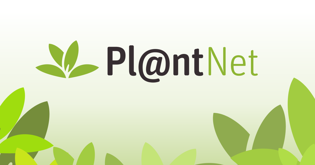 Pl@ntNet